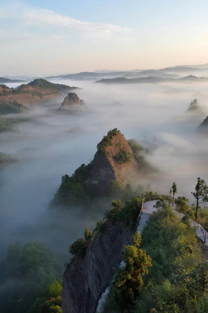 沪江开心词场